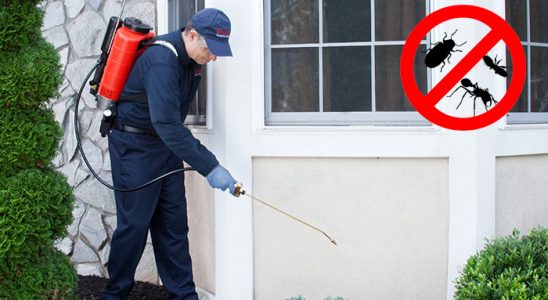 Büyükçekmece Dezenfeksiyon böcek ilaçlama ve haşere kontrolü — ilaclama-tr.com